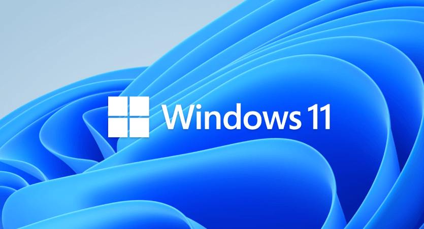 Windows 11